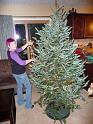 Putting up the tree